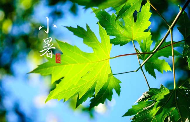 小暑是几月几日