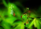 小暑吃什么传统食物？