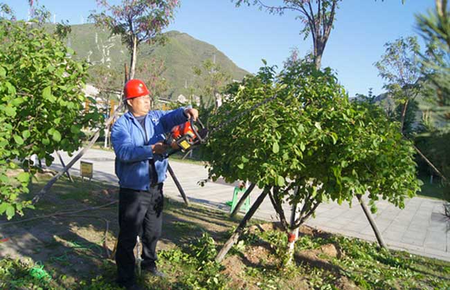 绿化工