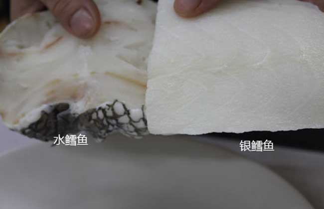 油鱼