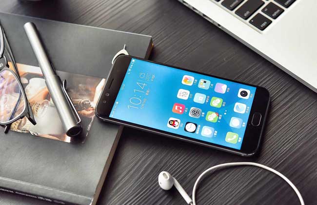 VIVO