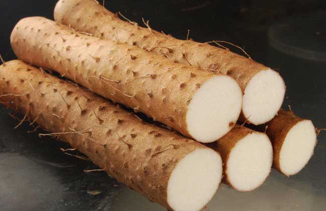 铁棍山药多少钱一斤