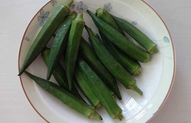 秋葵不能和什么一起吃