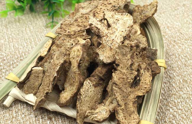 苍术价格