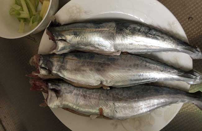 鲅鱼价格