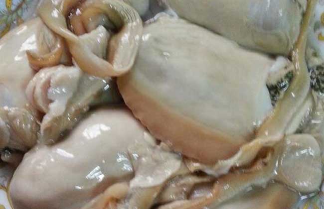 河蚌价格