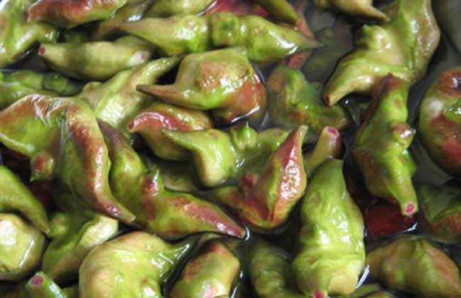 菱角价格多少钱一斤？