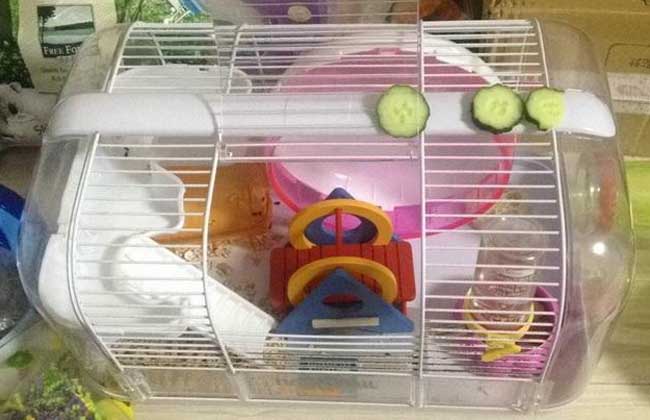 仓鼠笼子