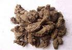 制草乌的功效与作用