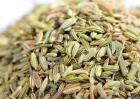 小茴香的功效与作用