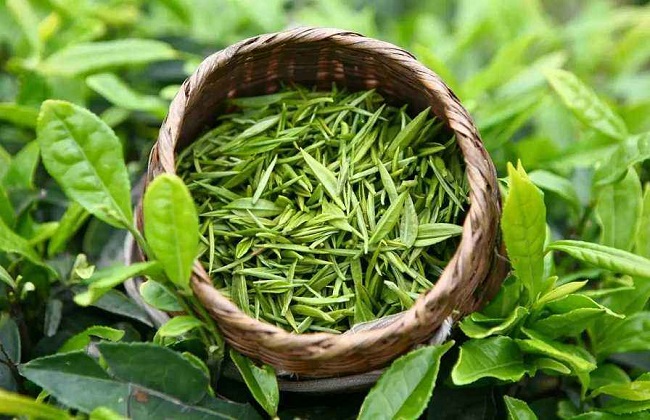 绿茶