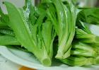 油麦菜的种植时间与方法