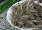 河虾应该怎么养殖