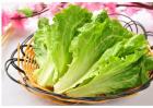 生菜怎么定植才能高产
