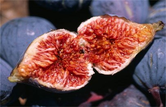 无花果 缺氮 怎么办
