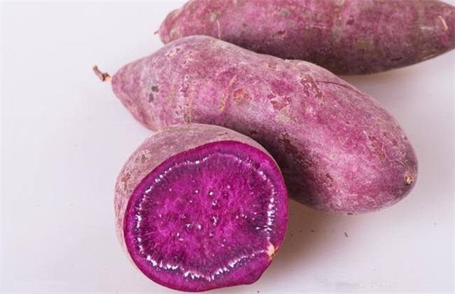 田间管理 紫薯 种植