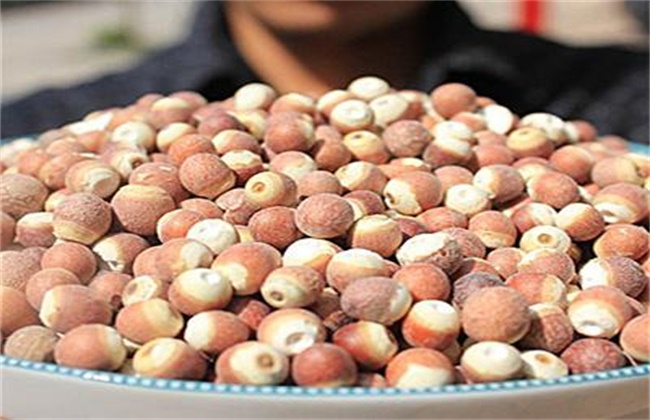 芡实价格是多少钱一斤