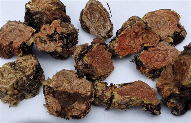 红景天价格多少钱一斤