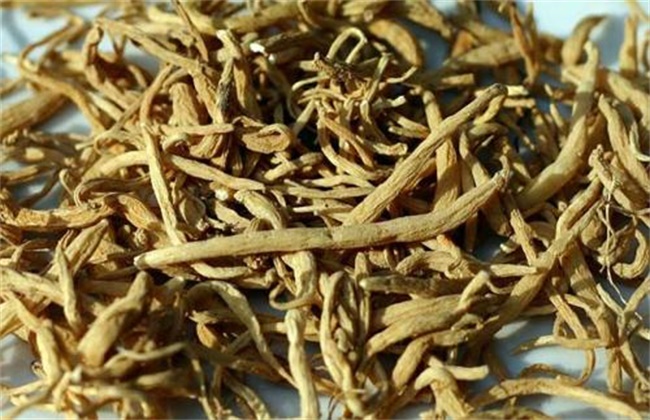 人参和西洋参的区别