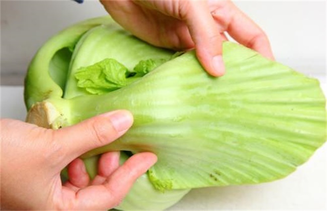 大芥菜和小芥菜的区别