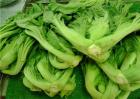 大芥菜和小芥菜的区别