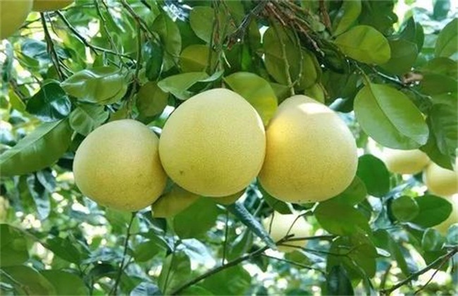 保温措施