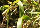 2019年种植啥能挣钱