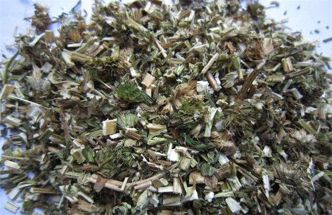 益母草的价格多少钱一斤