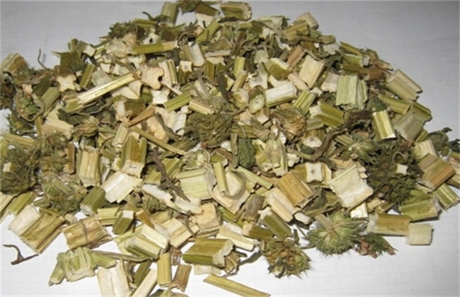 益母草的价格多少钱一斤