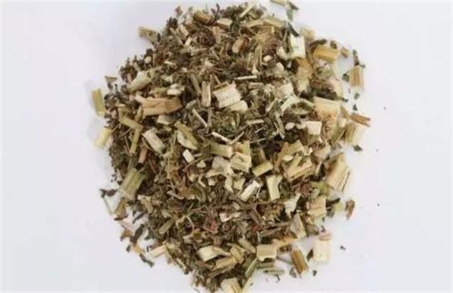益母草的价格多少钱一斤