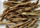 地骨皮多少钱一斤
