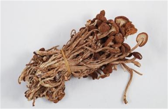 茶树菇多少钱一斤