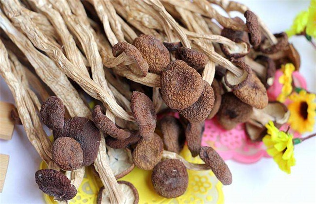 茶树菇多少钱一斤