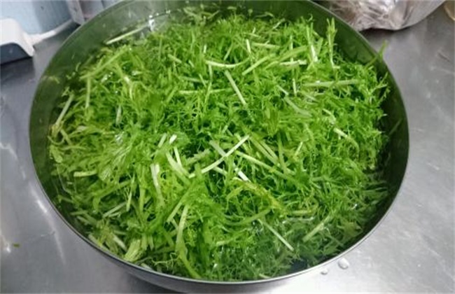 芥菜和荠菜的区别