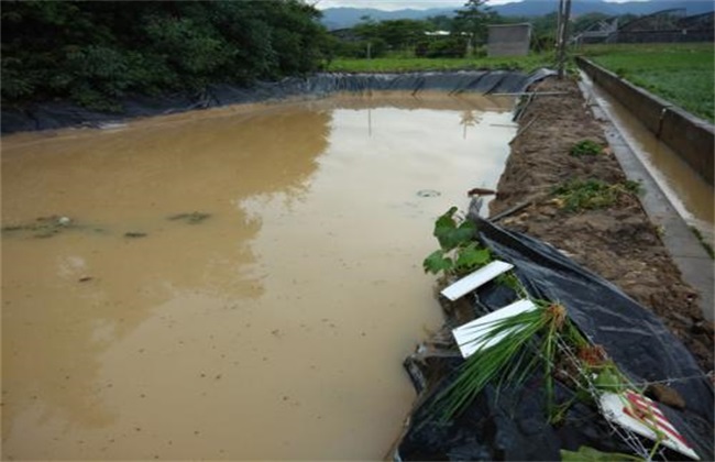 池塘修复
