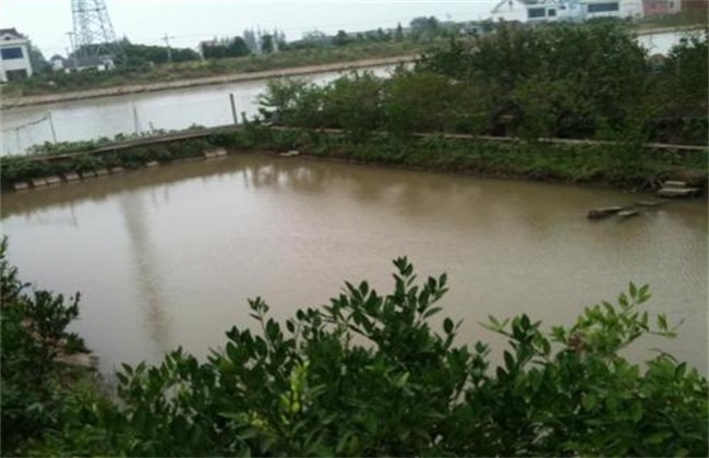 消毒
