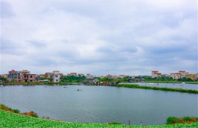 鱼塘 怎么 消毒