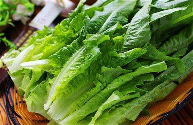 油麦菜和莴笋的区别