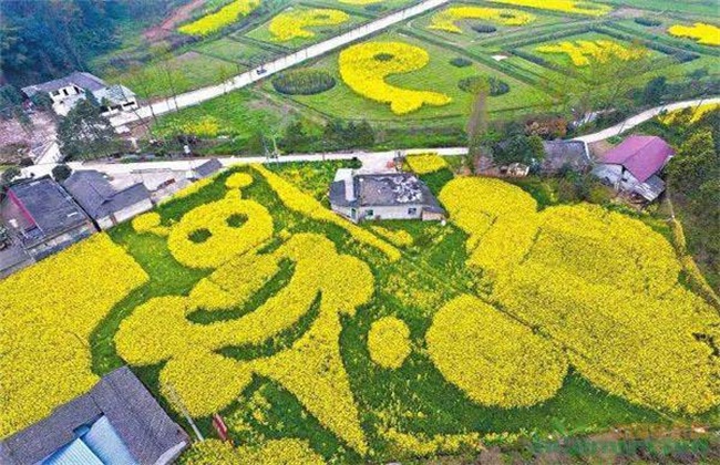 2019 赚钱 农业新模式