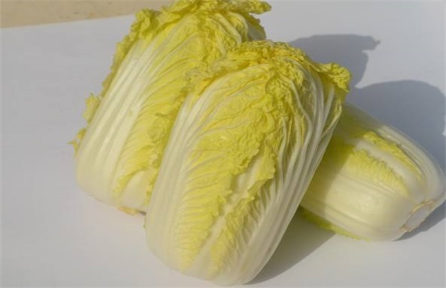 娃娃菜和白菜的区别