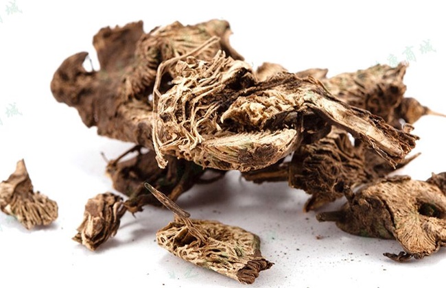 升麻多少钱一斤