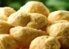 猴头菇的采收与贮藏方法