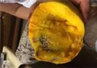 芒果烂果原因及防治方法