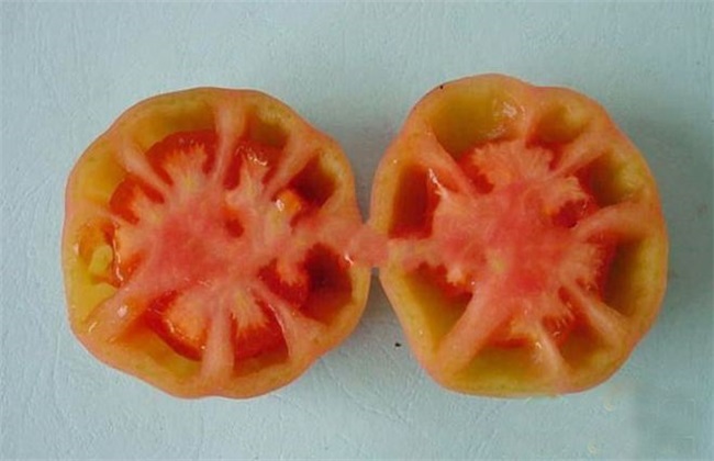 没汁液