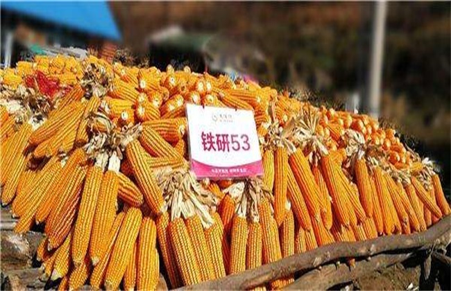 铁研