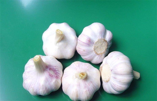 大蒜最新价格 大蒜多少钱一斤