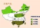 洋葱产地有哪些地方
