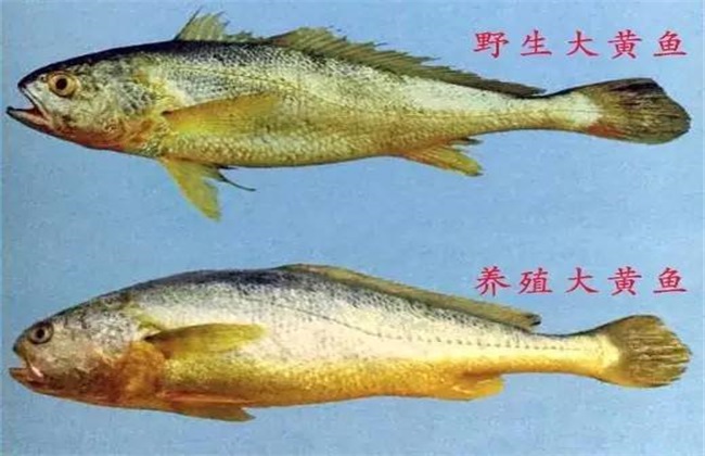 辨认