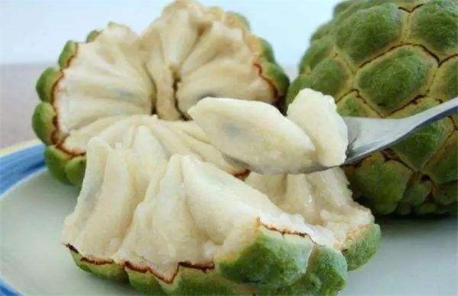 食用