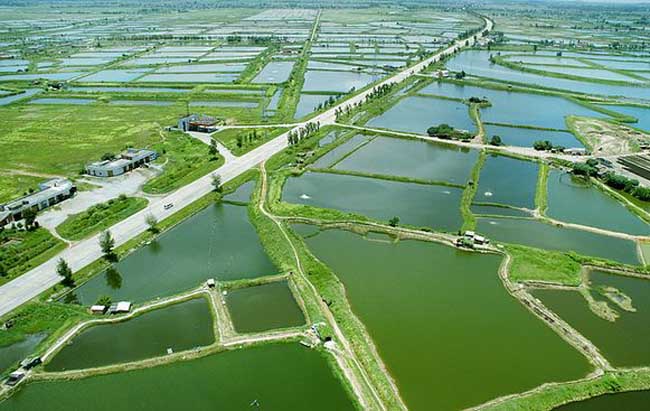 水产养殖业发展前景